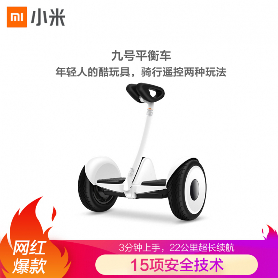 九号平衡车 Ninebot 九号平衡车